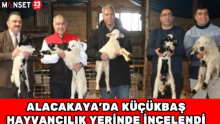 Alacakaya’da Küçükbaş Hayvancılık Yerinde İncelendi