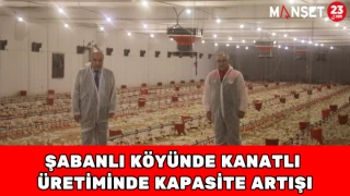 Şabanlı köyünde Kanatlı Üretiminde Kapasite Artışı