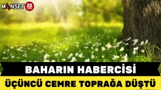 BAHARIN HABERCİSİ ÜÇÜNCÜ CEMRE TOPRAĞA DÜŞTÜ