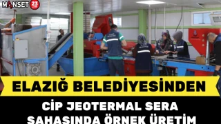 Elazığ Belediyesinden Cip Jeotermal Sera Sahasında Örnek Üretim