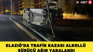 Elazığ'da Trafik Kazası Alkollü Sürücü Ağır Yaralandı
