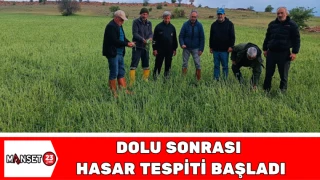 Dolu Sonrası Hasar Tespiti Başladı
