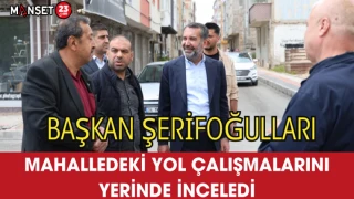 Başkan Şerifoğulları Mahalledeki Yol Çalışmalarını Yerinde İnceledi