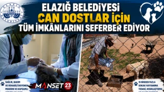 Elazığ Belediyesi, Can Dostlar İçin Tüm İmkânlarını Seferber Ediyor