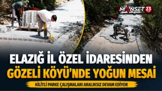 Elazığ İl Özel İdaresinden Gözeli Köyü'nde Yoğun Mesai