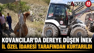 Kovancılar’da Dereye Düşen İnek İl Özel İdaresi Tarafından Kurtarıldı