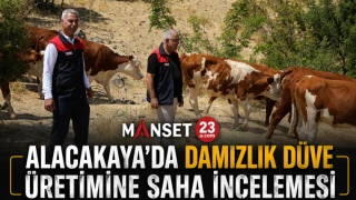 Alacakaya’da Damızlık Düve Üretimine Saha İncelemesi