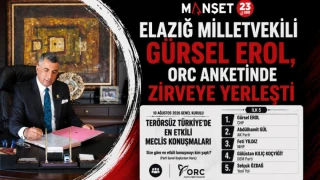 Elazığ Milletvekili Gürsel Erol, ORC Anketinde Zirveye Yerleşti