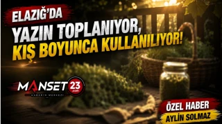 Elazığ’da Yazın Toplanıyor, Kış Boyunca Kullanılıyor!