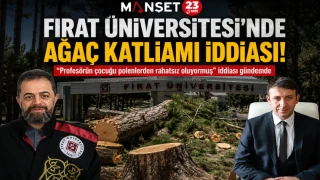 Fırat Üniversitesi’nde “Ağaç Katliamı” İddiası: Çam Ağaçları Neden Kesildi?