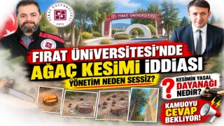Fırat Üniversitesi’nde Ağaç Kesimi İddiası: Yönetim Neden Sessiz?