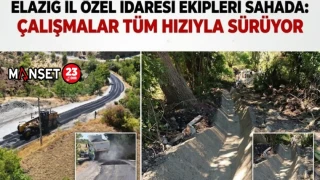 Elazığ İl Özel İdaresi Ekipleri Sahada: Çalışmalar Tüm Hızıyla Sürüyor