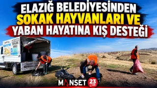  ELAZIĞ BELEDİYESİNDEN SOKAK HAYVANLARI VE YABAN HAYATINA KIŞ DESTEĞİ