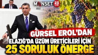 Gürsel Erol’dan Elazığ’daki üzüm üreticilerinin sorunları için soru önergesi